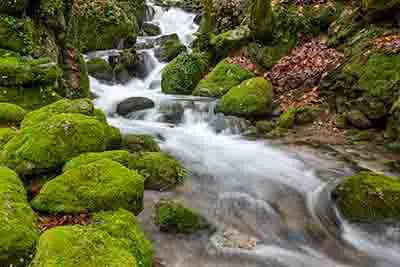 A stream in northern Portugal