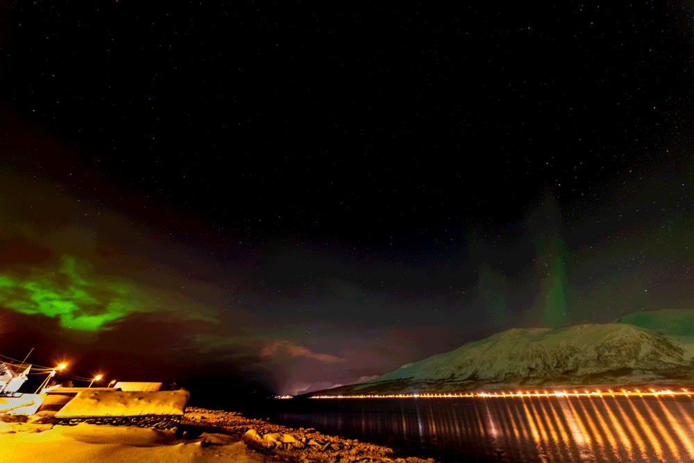 Polarlichter über Fjord und Lyngenfjorder Alpen