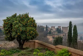 Generalife - in the Gardens of the Alhambra in Granada