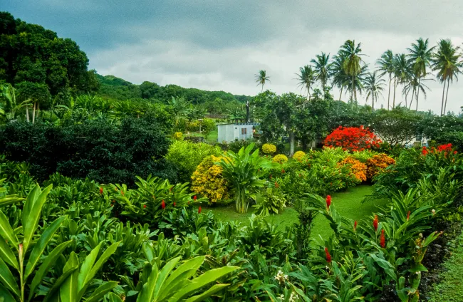 Kauai, the garden island