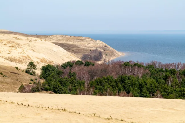 The dunes of the Curonian Spit