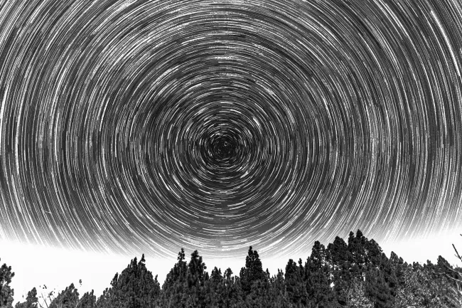 Startrails over trees and clouds in black and white
