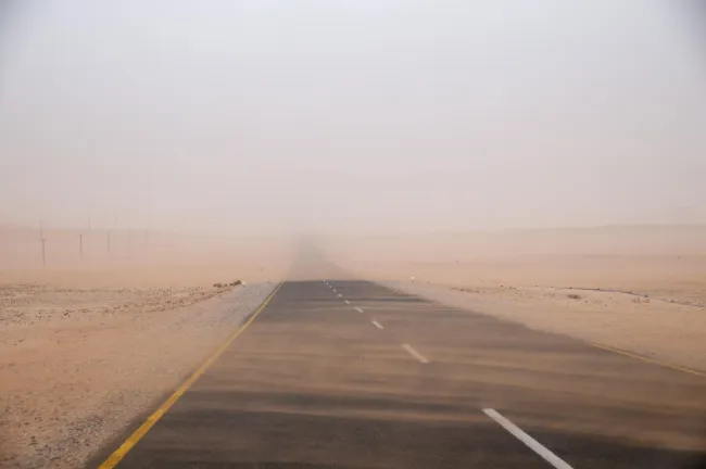 In the sandstorm of the Namib