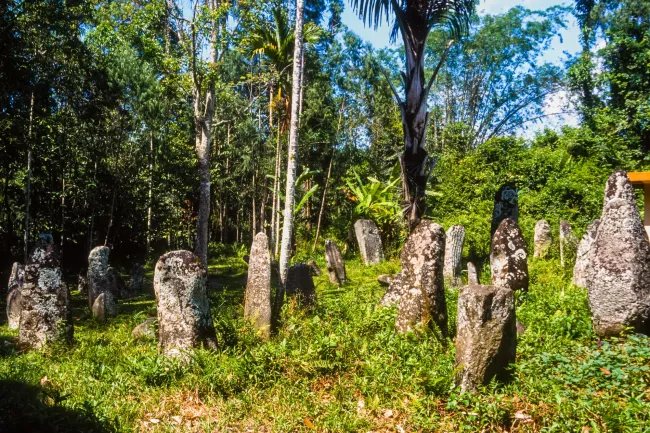 Menhire für bedeutende Verstorbene der Toraja