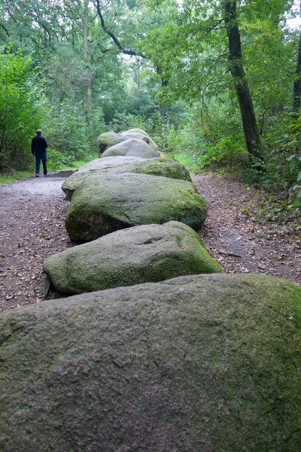 De hoogen Steener (high German: the high stones) north of Werlte with the Sprockhoff no. 830