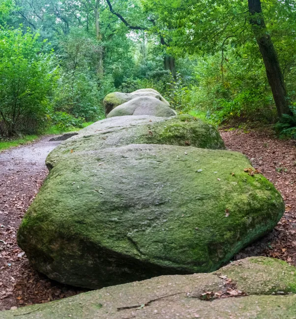 De hoogen Steener (high German: the high stones) north of Werlte with the Sprockhoff no. 830