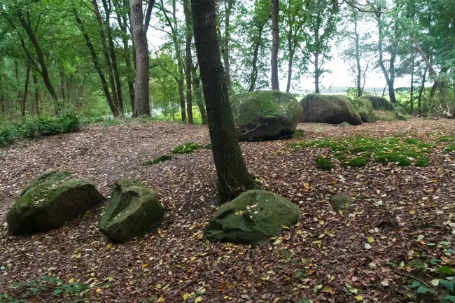 Large cairn in Ipeken I - fir forest with the Sprockhoff no. 856