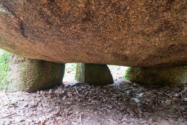 The megalithic tomb in the Kunkenvenne, also known as the Thuine megalithic tomb, Sprockhoff no. 874