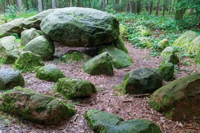 The megalithic tomb in the Kunkenvenne, also known as the Thuine megalithic tomb, Sprockhoff no. 874