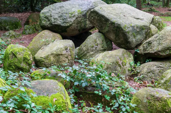 Das Großsteingrab in der Kunkenvenne, auch Großsteingrab von Thuine genannt, Sprockhoff-Nr. 874