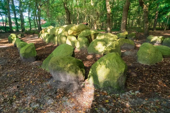Volbers Hünensteine auch Hüven-Nord genannt mit der Sprockhoff-Nr. 842