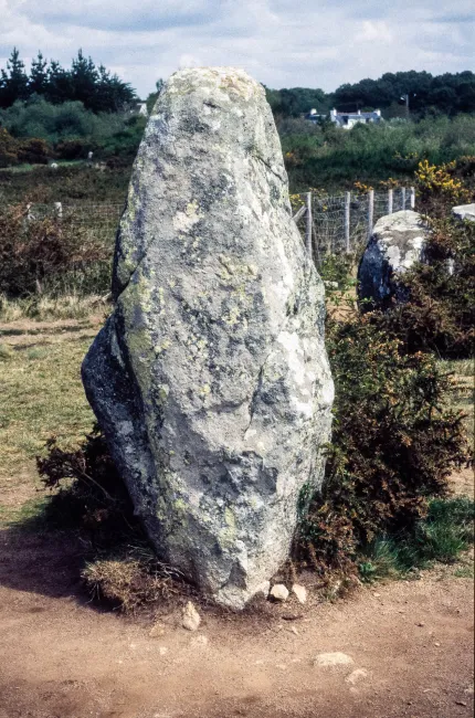 Menhire in Carnac