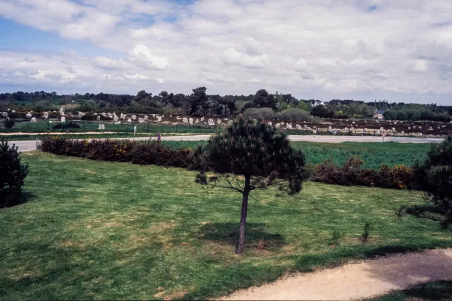 Stone rows of Carnac