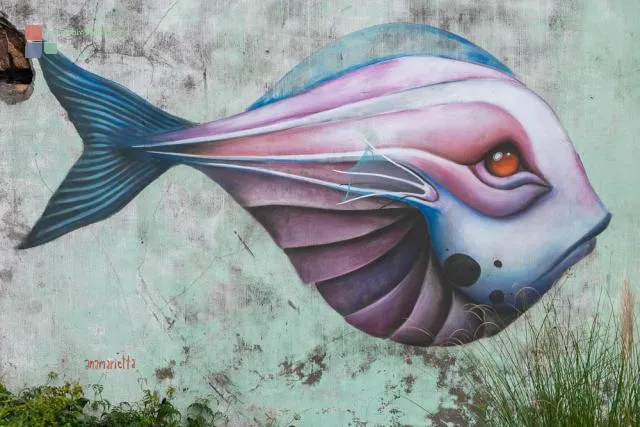 Street art in Portugal