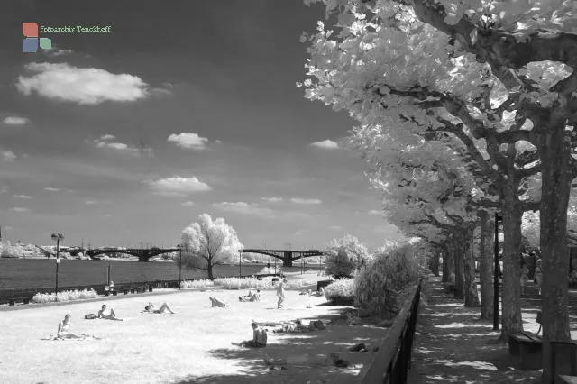 Infrared bathing area in summer