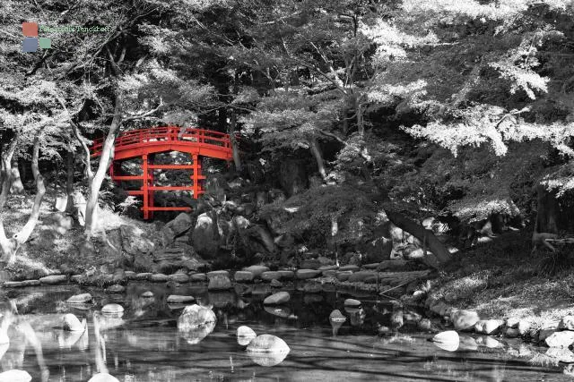 The red bridge in the Korakuen garden in Tokyo