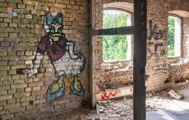Daisy Duck as graffiti in the Oppenheim mansion on the Fühlinger See in Cologne
