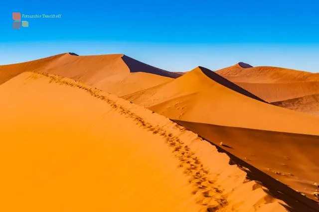 NFT 037: Düne 45 in der Namib-Wüste von Namibia