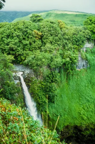 Wasserfälle auf Kauai
