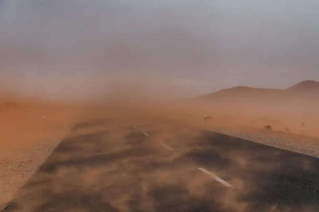 In the sandstorm of the Namib