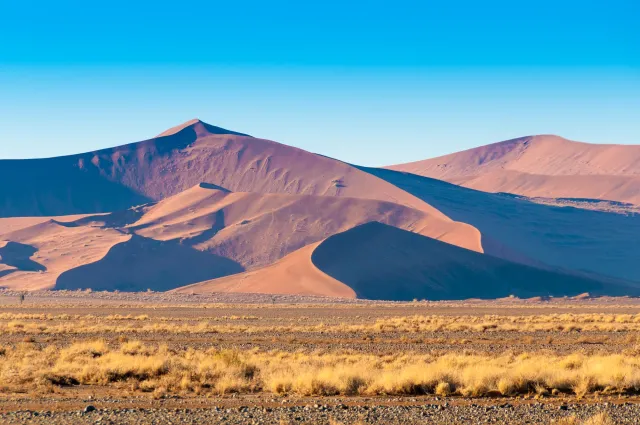 Die Dünenlandschaft der Namib