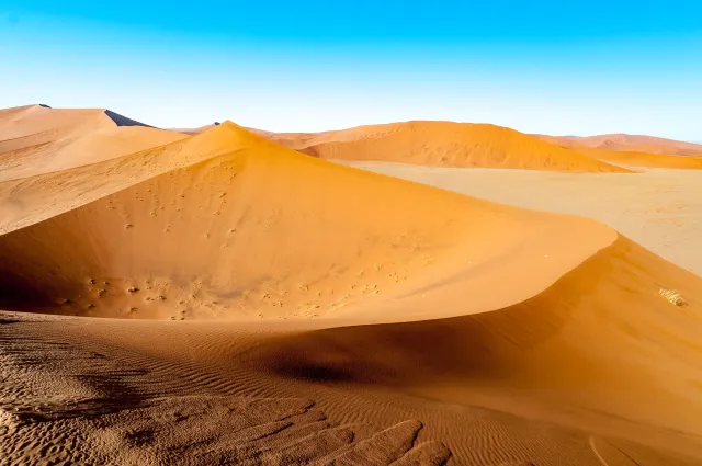 The dune landscape around Dune 45 in the Namib