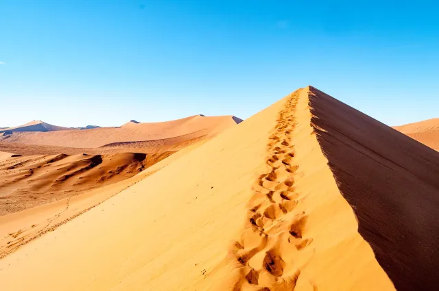 Die Dünenlandschaft rund um Düne 45 in der Namib