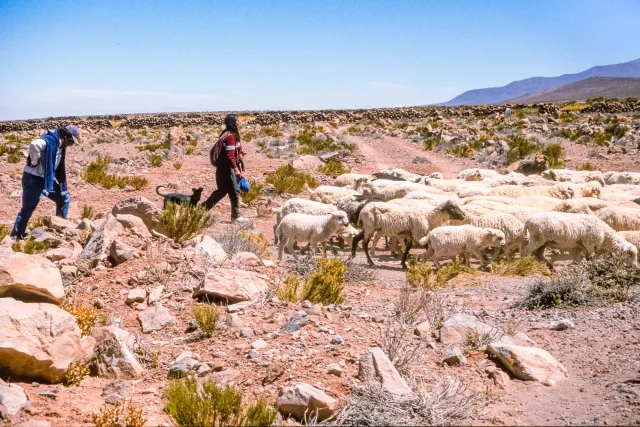 Locals at San Pedro de Atacama