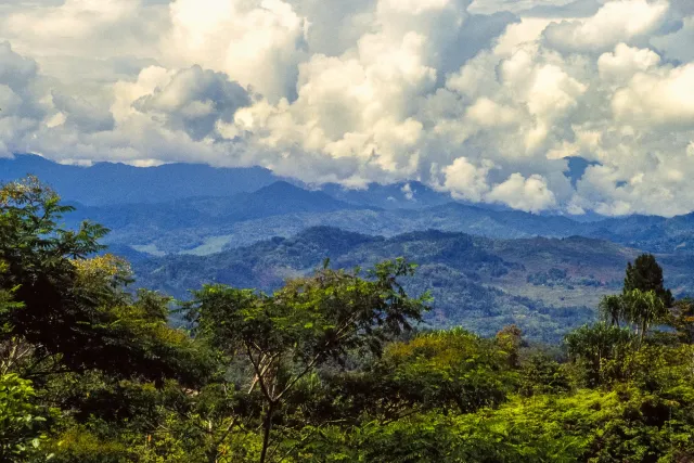 Das Hochland Tanah Toraja auf der Insel Sulawesi in Indonesien