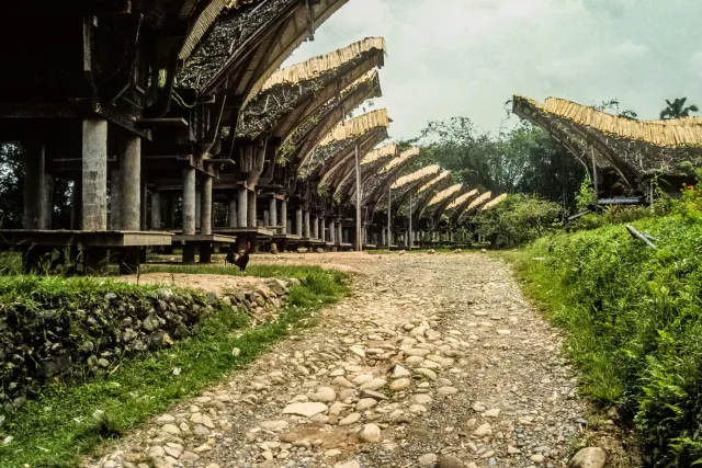 Tongkonan, die beeindruckenden Häuser der Toraja