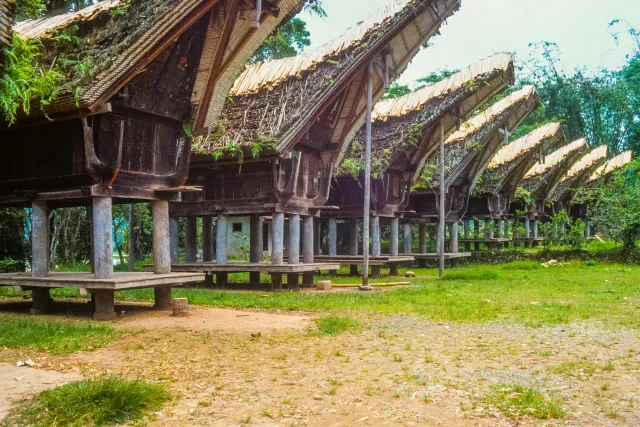 Tongkonan, die beeindruckenden Häuser der Toraja
