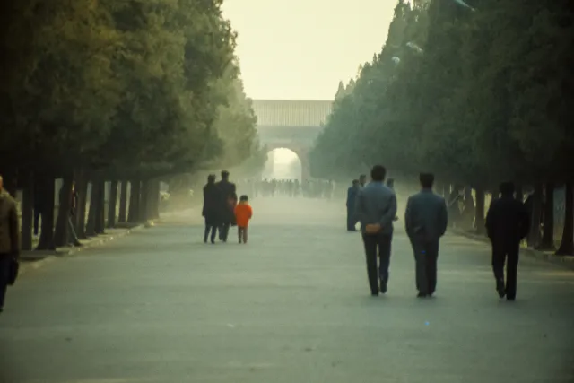 On the way to the Temple of Heaven