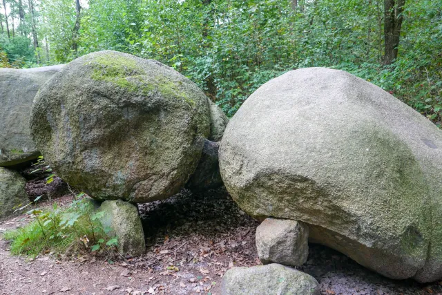 De hoogen Steener (hochdeutsch: die hohen Steine) nördlich von Werlte mit der Sprockhoff-Nr. 830