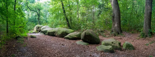 De hoogen Steener (hochdeutsch: die hohen Steine) nördlich von Werlte mit der Sprockhoff-Nr. 830