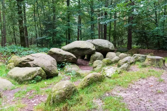 Das Großsteingrab in der Kunkenvenne, auch Großsteingrab von Thuine genannt, Sprockhoff-Nr. 874