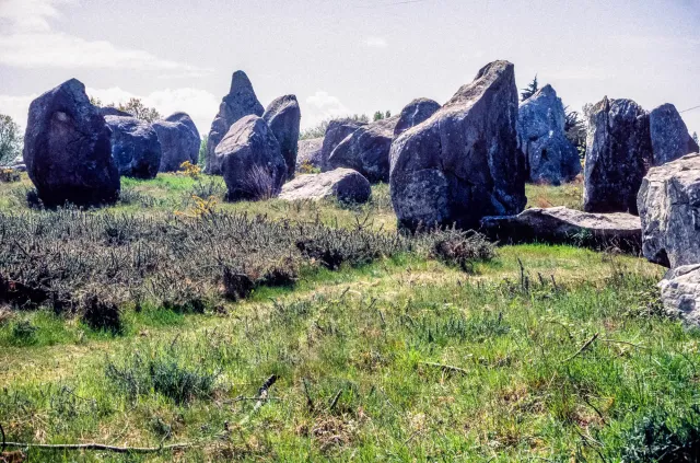 Stone rows of Carnac
