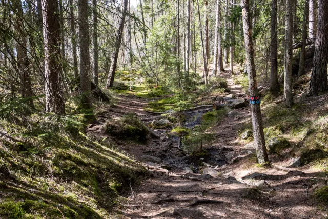 Und weiter geht es nach kurzen Pausen am See in die beeindruckenden Felsformationen des Tiveden Nationalparks.