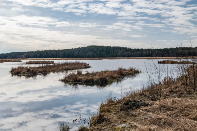 Ålsjön nature reserve