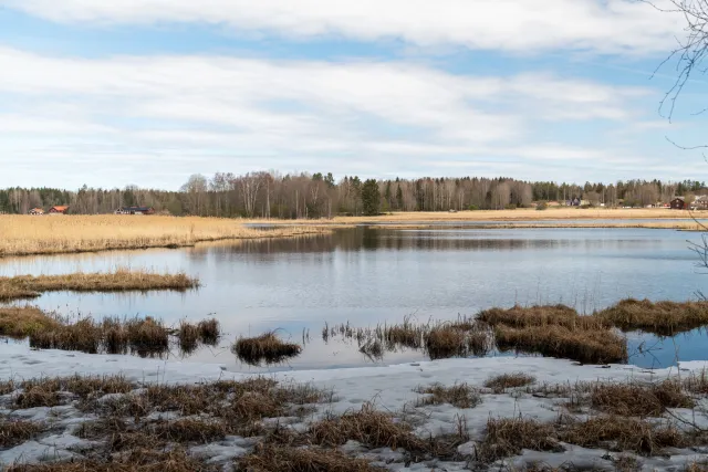 Naturschutzgebiet Ålsjön