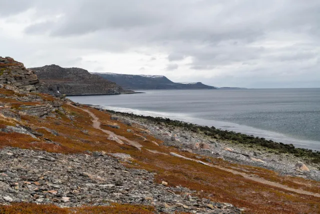 The coastal paths at the Varangerfjord in Ceavccageađge (Mortensnes)