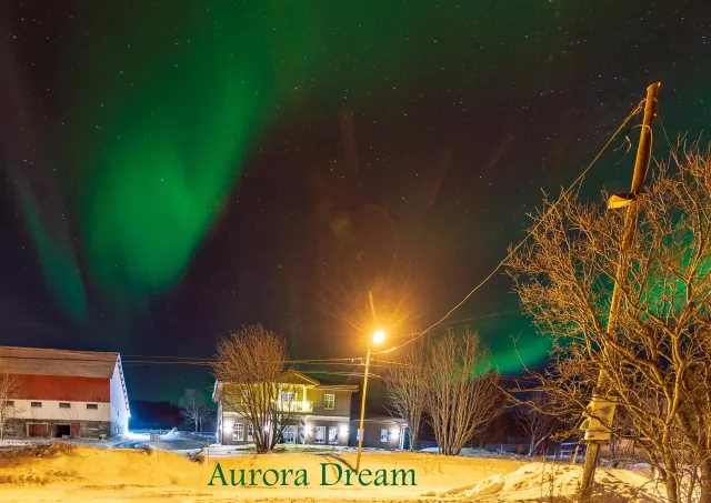 Aurora Dream von Frank Henriksen