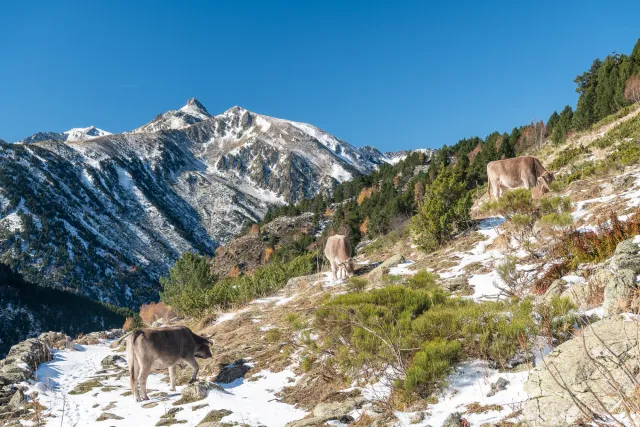 Wandern in den Bergwelten von Andorra