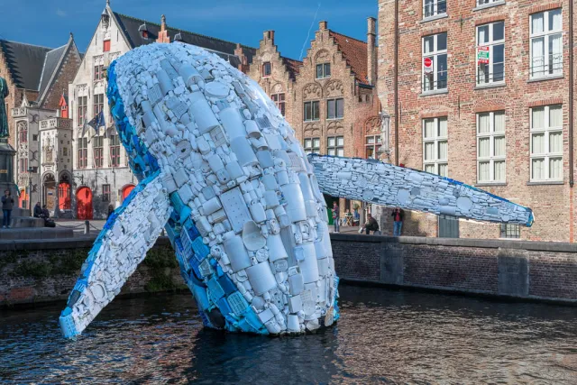 The Bruges Whale