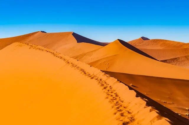 NFT 037: Dune 45 in the Namib Desert of Namibia