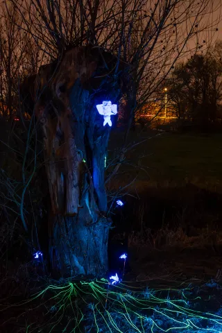 Nocturnal tree spirits in the park of Mechelen