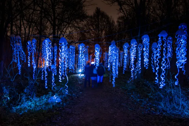 Illuminated paths in the park of Mechelen