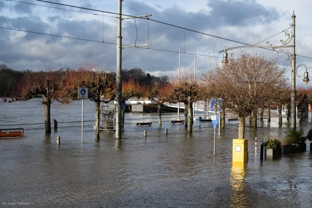 Überschwemmung am Rheinufer bei Königswinter