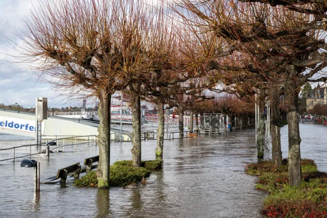 Überschwemmung der Allee am Rheinufer bei Königswinter
