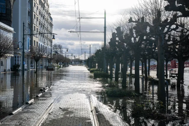 Die überschwemmte Rheinpromenade bei Königswinter