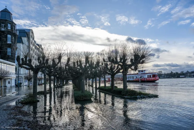 Die überschwemmte Rheinpromenade bei Königswinter